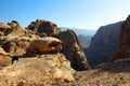 Petra view with donkey Royalty Free Stock Photo